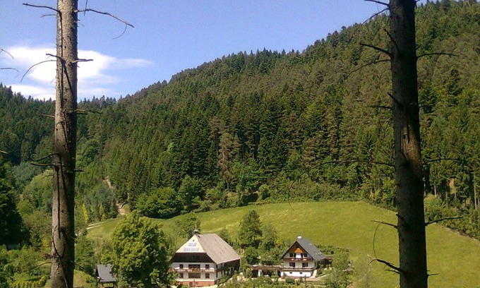 Hornberg Appartement | Room 'Talblick' with Mountain View, Balcony and Wi-Fi