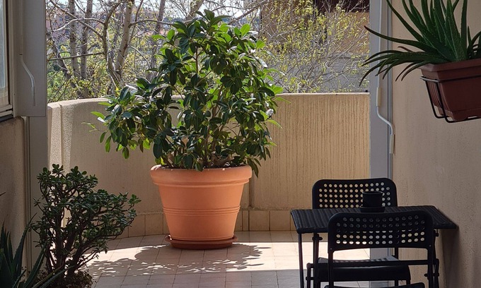 Rome Province Appartement | Rooms And Comfort Apartment