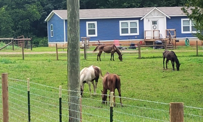 Attalla Autre | Roomy 3-bedroom horse ranchette with hiking/biking trails. Noccalula & Gadsden