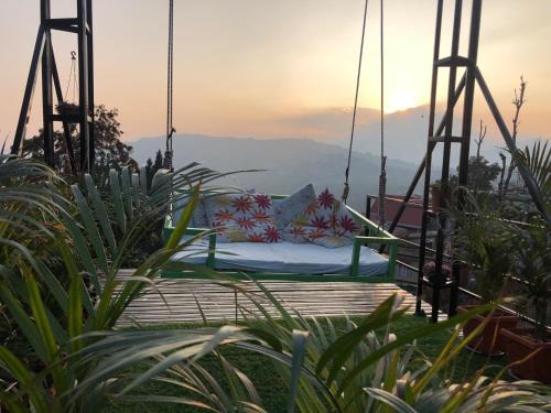 Turuk Maison | Roots Shoots & Beds
