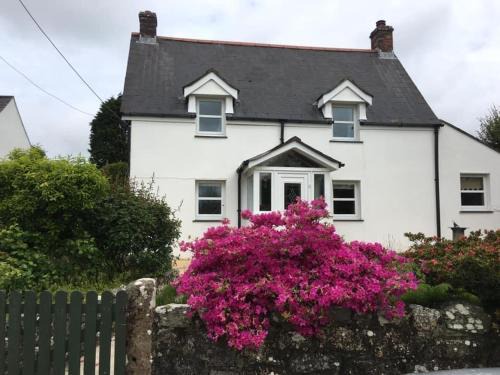 St. Columb Major Maison | Rose Cottage Bee Happy anex