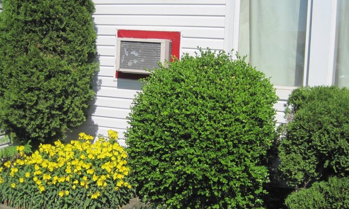 Stratford Hôtel | Rosecourt Motel