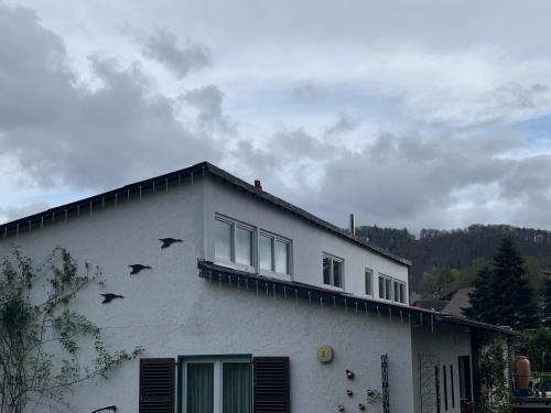 Hasenfeld Appartement | Rosenstufen