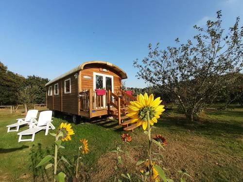 Tremeoc Maison | Roulotte Bigoudenne
