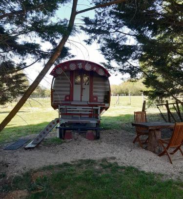 Saint-Vincent-en-Bresse Autre | Roulotte irlandaise Polly