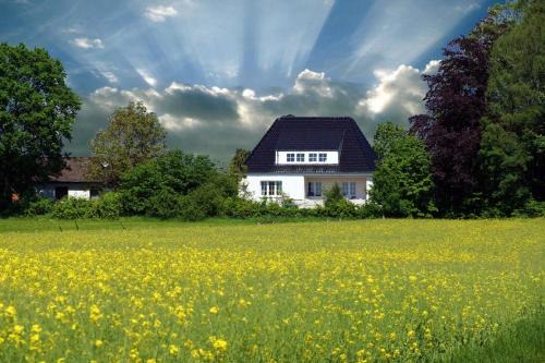 Bad Meinberg Appartement | Ruhige Ferienwohnung mit Waldblick