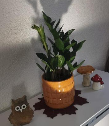 Seligenstadt Appartement | ruhige Sout. Whg. Feldrandnähe