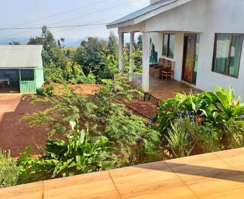 Luhizha Maison | Ruhija Gorilla Guest House