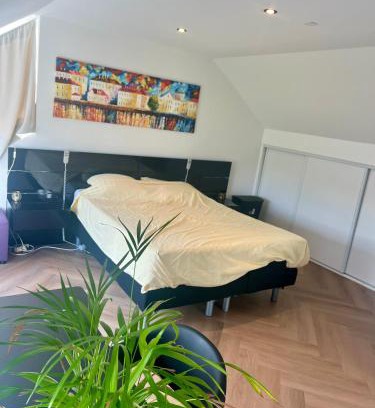 Leeuwarden Maison | Ruime slaap kamer met werkplek en privé badkamer bij Jacqueline