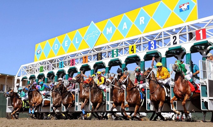 Solana Beach Copropriété | Run to Del Mar Racetrack for the Breeders Cup! Spacious full one-bedroom condo.