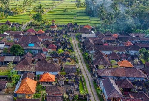 Taro Maison | Rural Atmosphere at Bali Coconut House in Delodsema Village