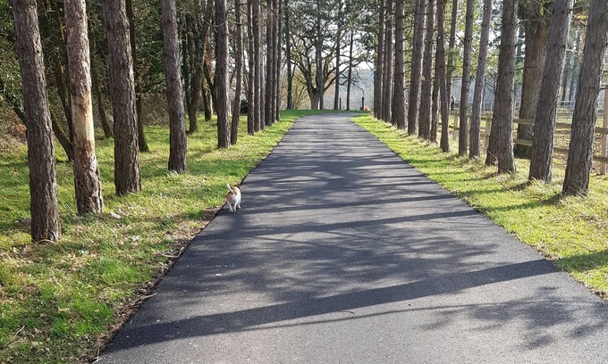 La Roche-Posay Maison | Gite rural à 3.5km de la cure thermale