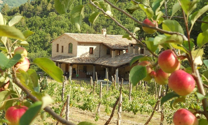 Vallo di Nera Appartement | Località Il Piano Appartement "I Fichi"