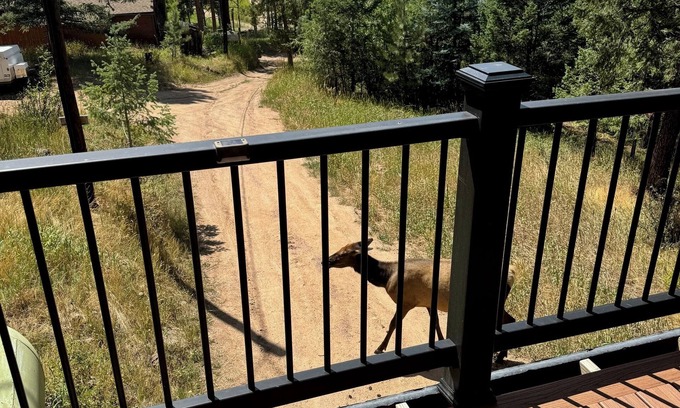 Evergreen Maison | Rustic and charming 2 bedroom retreat with a beautiful deck