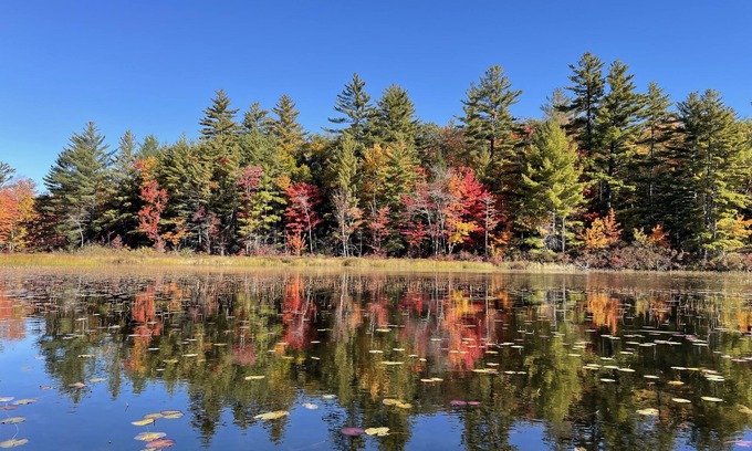 Pittsfield Maison | Rustic and luxurious 4 bedroom house on secluded NH lake!