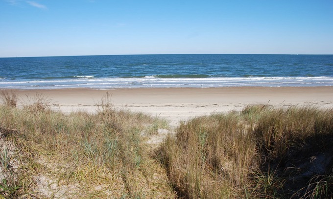 Bayview Cottage | Appartement rustique au bord de la plage - Confortable et directement sur la plage - 2 BR 2 apt.