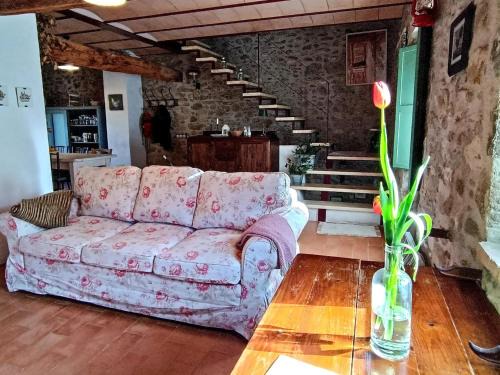 Mieras Maison | Rustic Home in Mieres near Banyoles Lake