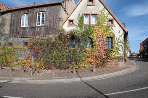 Barbelroth Appartement | Südpfalz