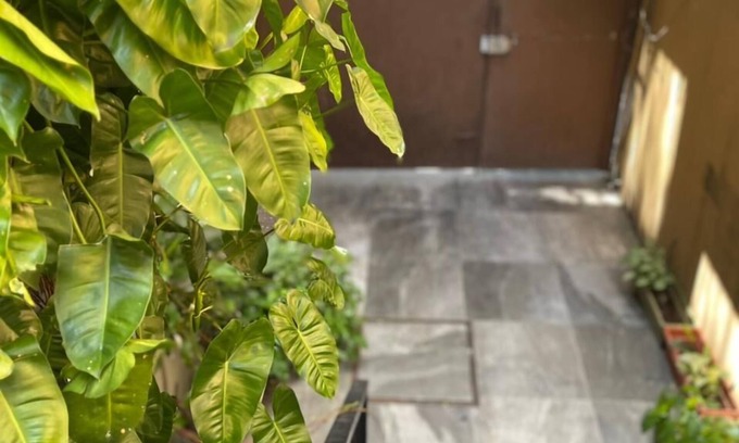 Miraflores Maison | S27 Backpackers