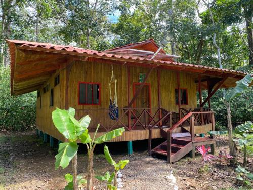 Sierpe Cabine | Sabalo Lodge Tours and Cabins