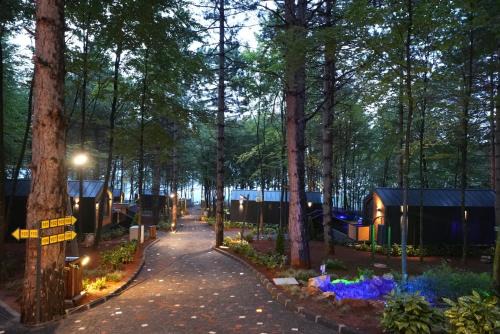 Kartepe Hôtel | Saklı Vadi Tiny House
