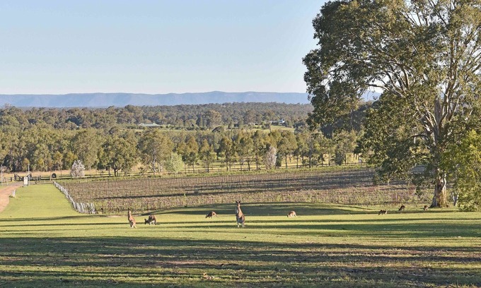 Lovedale Maison | Sandalyn Estate Hunter Valley