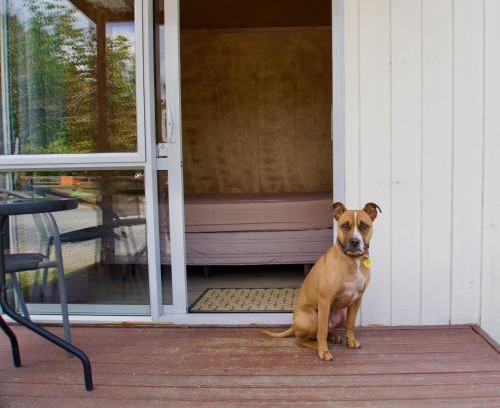 Katikati Station Balnéaire | Sapphire Springs Holiday Park and Thermal Pools