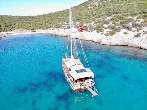 Bodrum Location De Bateaux | Saraçoğlu vip bodrum