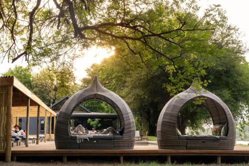 Ehlanzeni Cabine | Sashwa River of Stars Plant-Based Wellness Safari Lodge
