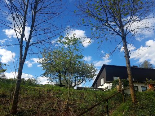 Hallenberg Appartement | Sauerland Alm Winterberg 5