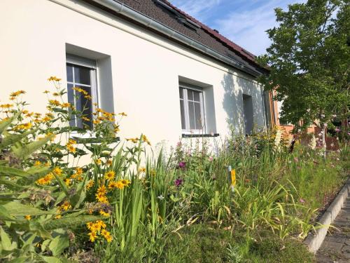 Braunsberg Appartement | Schäferstübchen - Urlaub auf dem Bauernhof