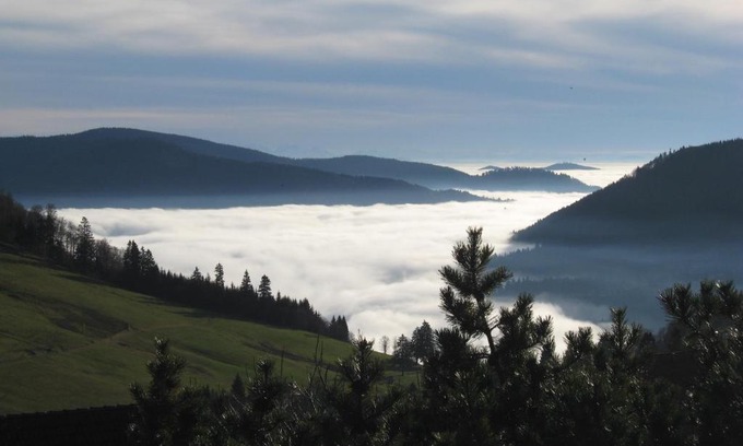 Todtnauberg Appartement | Schöne Aussicht