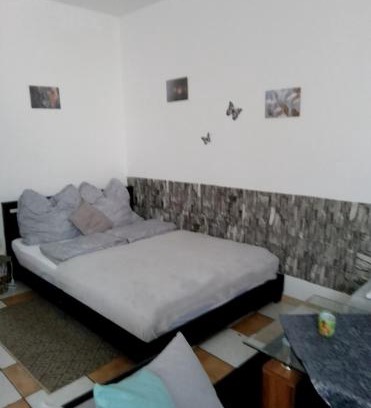 Fraulautern Appartement | Schöne Studiowohnung, renoviert, zentrale Lage