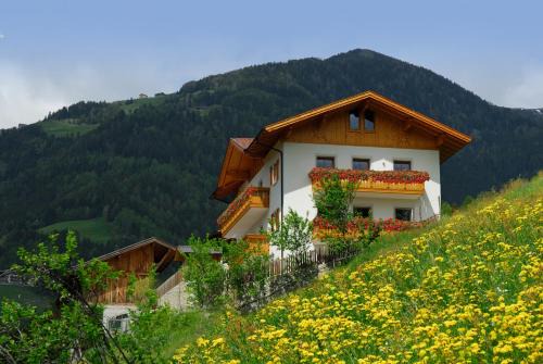 Lazfons Appartement | Schienhof