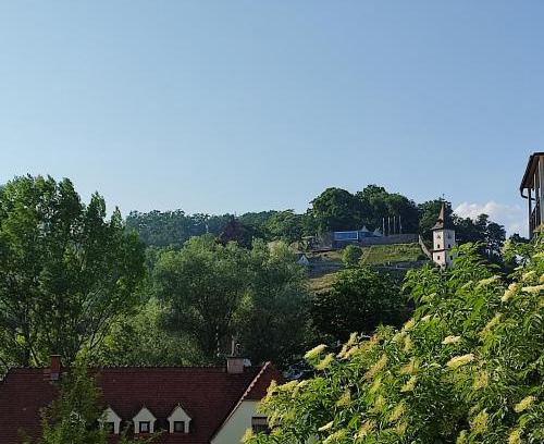 Bruck an der Mur Appartement | Schlossbergblick