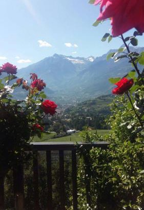 Merano Appartement | Schwarzplatterhof