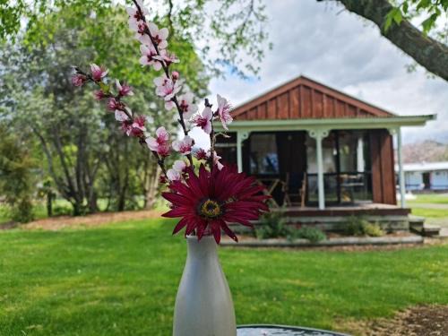 Whenuakite Station Balnéaire | Seabreeze Holiday Park