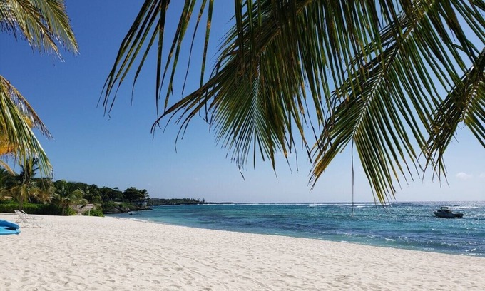 Savannah Copropriété | Condo en bord de mer isolé Grand Cayman Caraïbes eau bleue !!