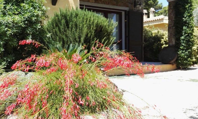 Porto Pino Villa | villa Mer équipée de tout le confort