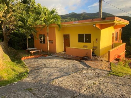 Cudjoe Head Appartement | Seaview Guesthouse Apt #2