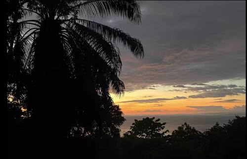 Manuel Antonio Lit Et Petit-Déjeuner | Seaview studio's, free breakfast & park tour