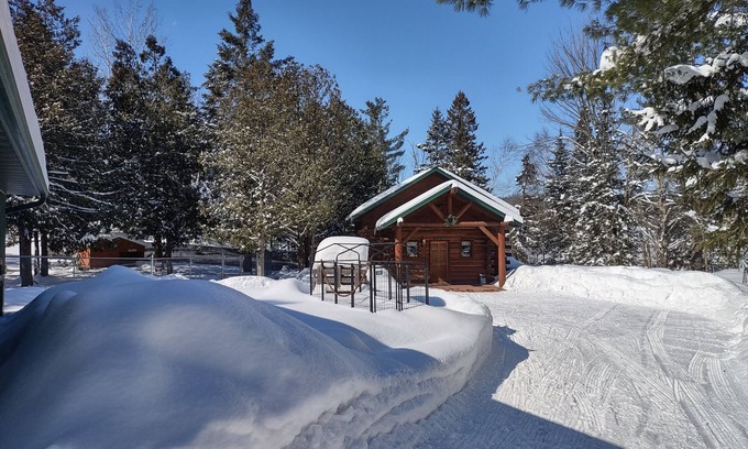 Chetek Cabine | Secluded cabin in the woods-UTV, hunting, fishing, pet friendly