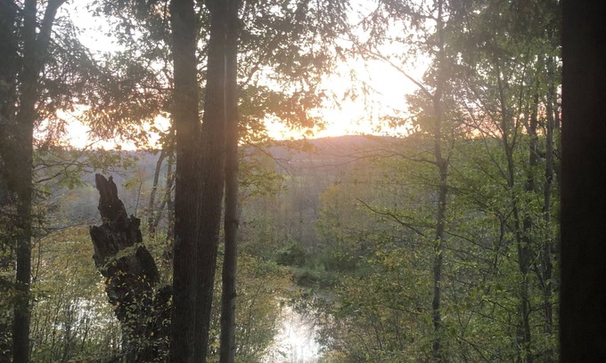 Hartwick Cabine | Secluded Cabin Nestled In The Trees Overlooking Fishing & Canoe Pond