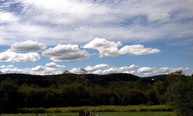 Hartwick Cabine | Secluded Hillside Property with Valley Views and Fishing Pond