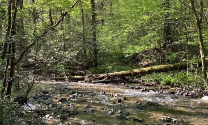 Ellijay Cabine | Cabane en rondins isolée avec un ruisseau Rushing - Nouvelle inscription