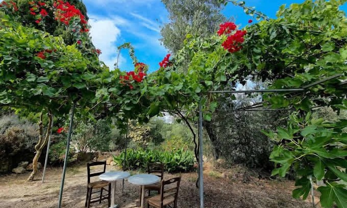 Kouvalata Appartement | Secret Garden Hideaway in Kefalonia
