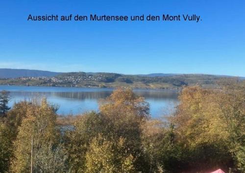 Meyriez Appartement | Seeblick