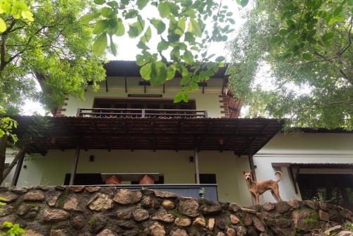 Chittur Hôtel | Seethavanam Farmstay at Forest Edge