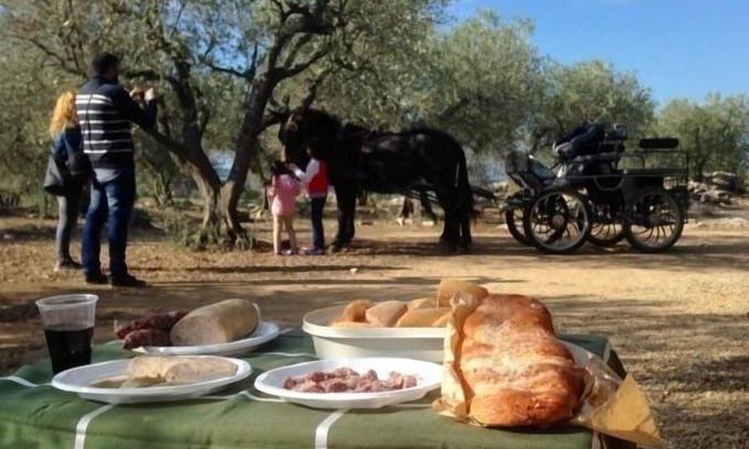 Avinyonet de Puigventos Cottage | Gîte Can Barraca pour 5 personnes