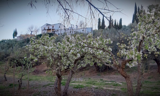 Villacarrillo Cottage | Gîte Cortijo El Capricho pour 7 personnes